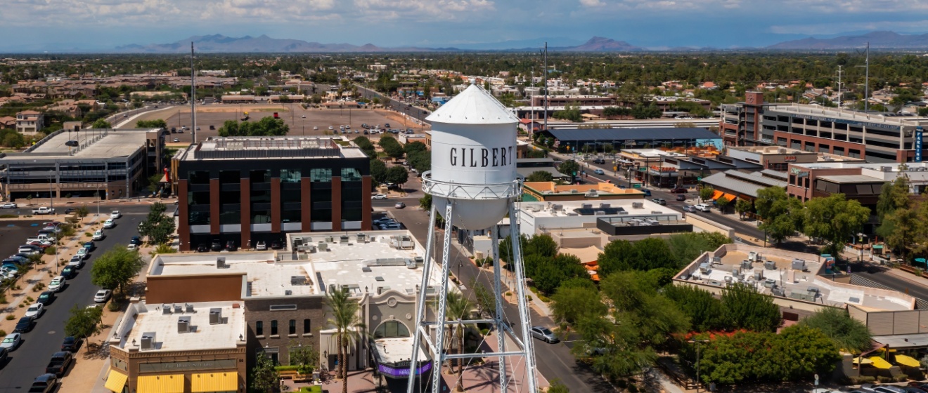 Effective Pest Control Services in Gilbert, AZ