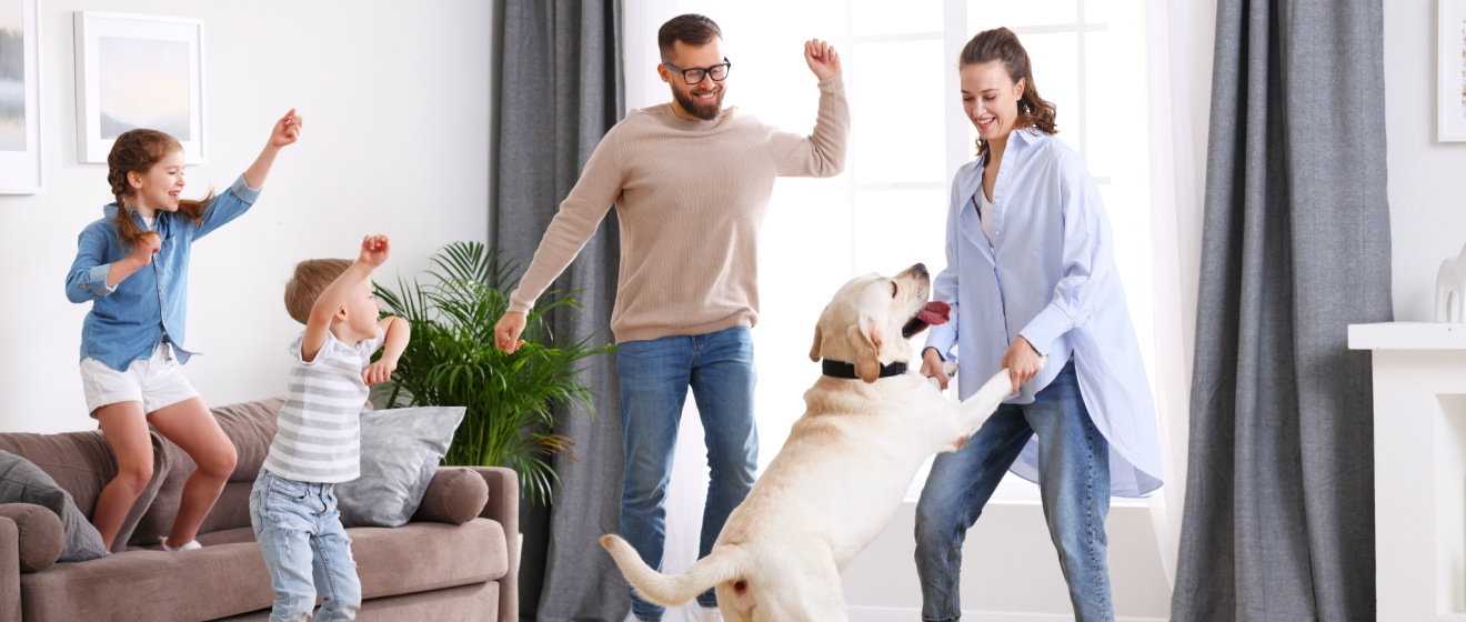 Who’s the Best Exterminator for Pet Owners in Show Low?